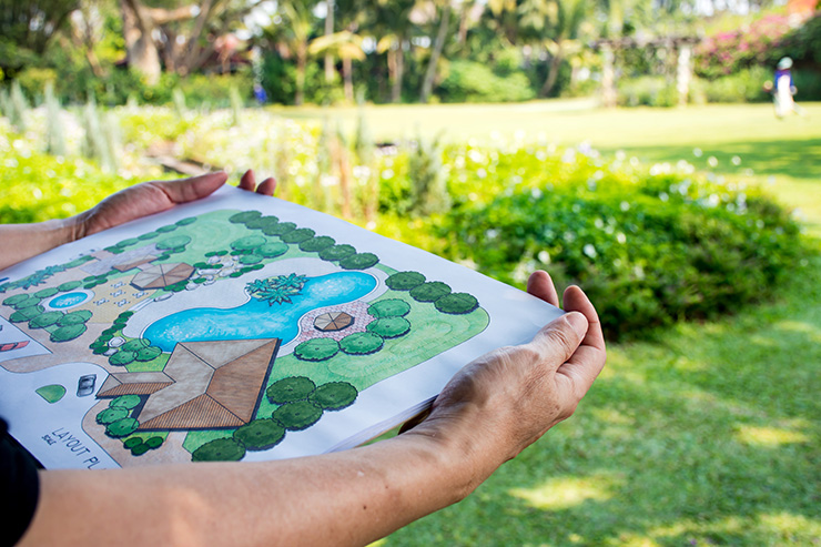 Picture of a garden designer surveying a garden