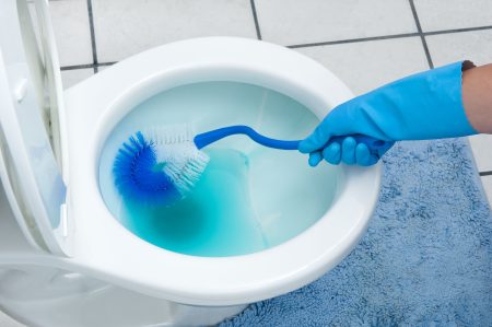 Experts Reveal the Best Products to Clean Your Toilet the Right Way