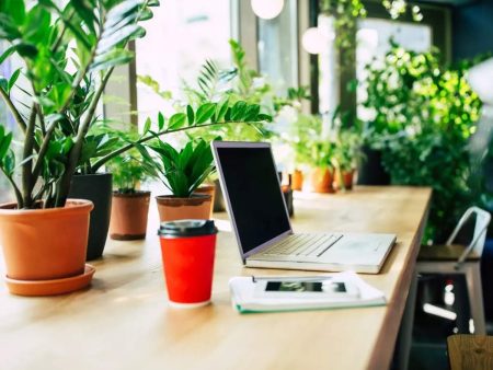 4 Benefits of Bringing Nature into the Office