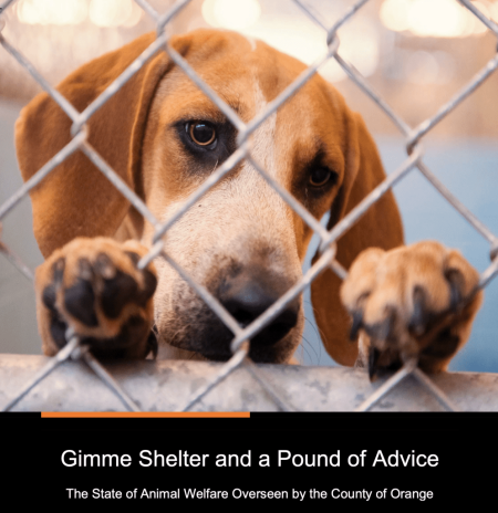 City Council Notes: August 1, 2023