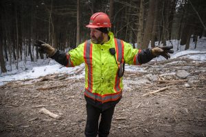 Wood products industry sees compounding losses following the summer floods