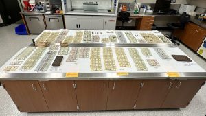 Home Depot employee allegedly embezzled $1.2M in cash in California