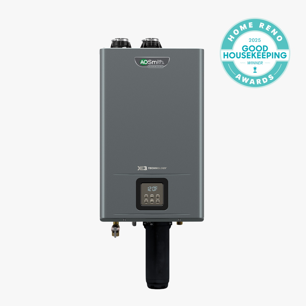 A. O. Smith Signature Series Tankless Water Heater with Scale Prevention