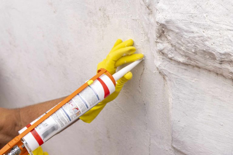 Stop Pests Before They Move In: 5 Places Pest Control Pros Always Seal Around the House