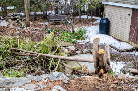How to Tackle Storm Cleanup in Your Yard Without Breaking the Bank (or Your Back)